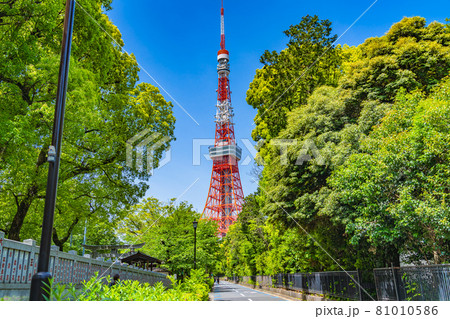 東京の都市風景 港区芝公園周辺の風景 81010586
