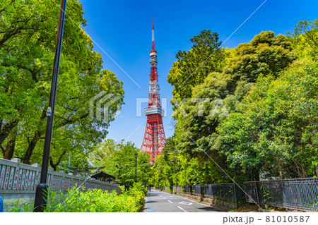 東京の都市風景 港区芝公園周辺の風景 東京の都市風景 港区芝公園周辺の風景 81010587