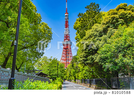 東京の都市風景 港区芝公園周辺の風景 東京の都市風景 港区芝公園周辺の風景 81010588