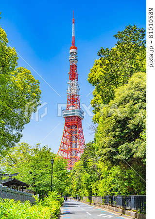 東京の都市風景 港区芝公園周辺の風景 81010589