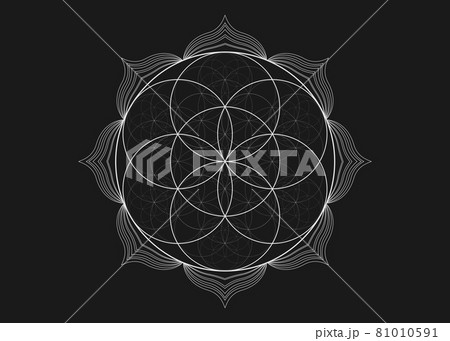Seed Flower of life lotus icon, yantra mandala sacred geometry, tattoo symbol of harmony and balance. Mystical talisman, white lines vector isolated on black background Seed Flower of life lotus icon, yantra mandala sacred geometry, tattoo symbol of harmony and balance. Mystical talisman, white lines vector isolated on black background 81010591