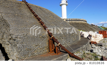 秋の東京湾の第二海堡 81010636