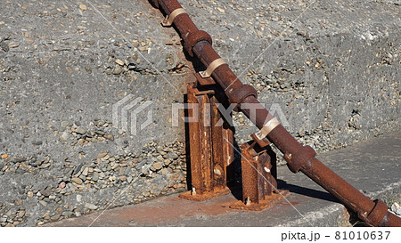 秋の東京湾の第二海堡 81010637