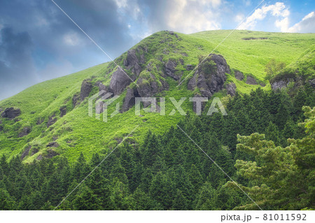 阿蘇くじゅう国立公園、国道212号線沿いの湯浦パーキングにて 81011592