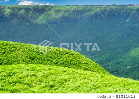 緑のスロープが美しい阿蘇大観峰での一風景 81011613