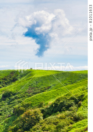熊本県阿蘇市、西湯浦園地展望所で見た丘の上を漂う雲 熊本県阿蘇市、西湯浦園地展望所で見た丘の上を漂う雲 81011633