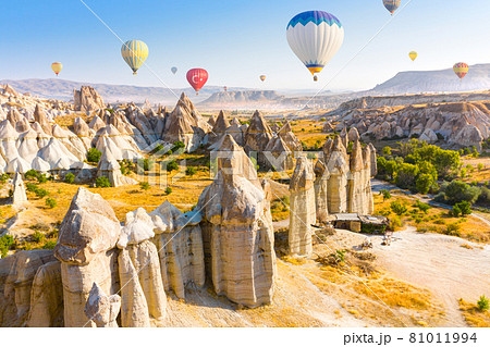 Hot air balloons flying over Love valley near Goreme village. Cappadocia. Turkey 81011994