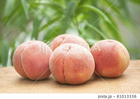 日本の桃 日本の桃 81013336