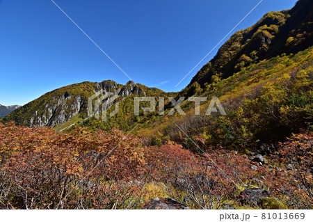 紅葉ピークの涸沢　Sガレ付近の登山道から見る屏風岩 81013669
