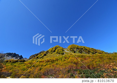 紅葉ピークの涸沢　Sガレ付近の風景と涸沢岳 81013670