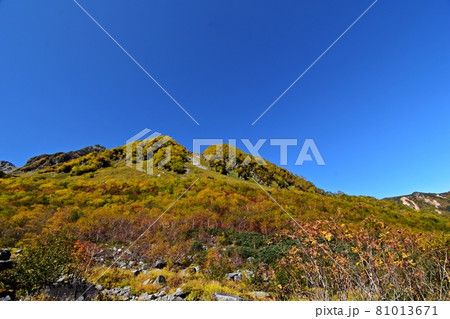 紅葉ピークの涸沢 Sガレ付近の風景 紅葉ピークの涸沢 Sガレ付近の風景 81013671