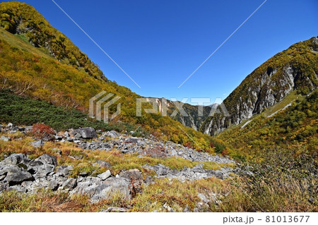 紅葉ピークの涸沢 Sガレ付近の登山道と屏風岩 紅葉ピークの涸沢 Sガレ付近の登山道と屏風岩 81013677
