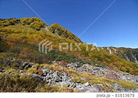 紅葉ピークの涸沢 Sガレ付近の登山道 紅葉ピークの涸沢 Sガレ付近の登山道 81013678