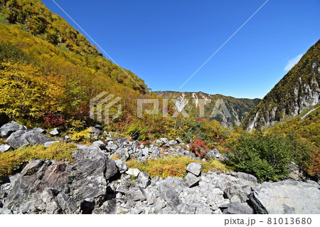 紅葉ピークの涸沢　Sガレ付近の登山道と屏風岩 81013680