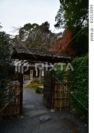 金戒光明寺の紅葉 81013694