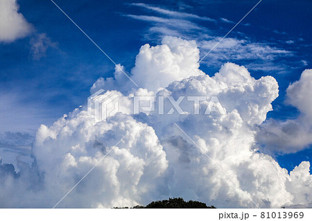 夏雲 81013969