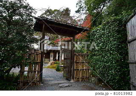 金戒光明寺の紅葉 金戒光明寺の紅葉 81013982