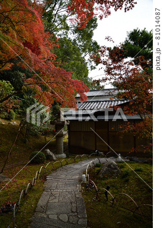 金戒光明寺の紅葉 金戒光明寺の紅葉 81014087