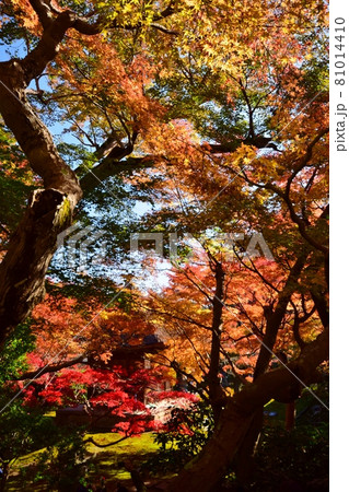 秋の鎌倉　長寿寺 81014410