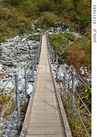 涸沢に向かう登山道　本谷橋 81014683