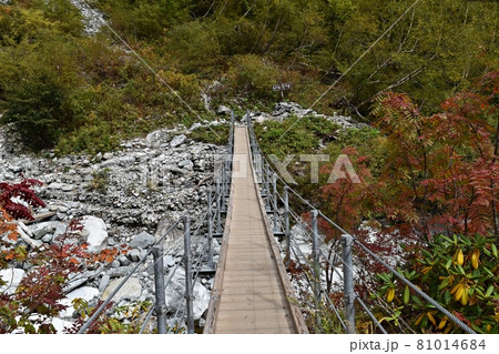涸沢に向かう登山道　本谷橋 81014684