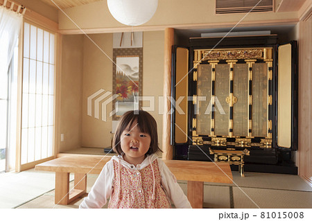 和室で遊ぶ幼児 和室で遊ぶ幼児 81015008