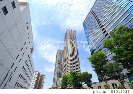 都市風景　武蔵小杉駅周辺　新緑 81015581