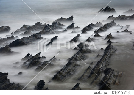 荒崎海岸 81015716