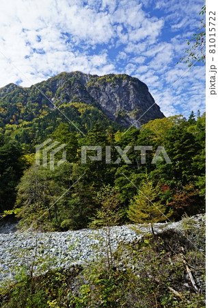 横尾付近の登山道から見た横尾谷の河原と屏風岩 81015722