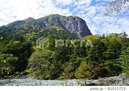 横尾付近の登山道から見た横尾谷の河原と屏風岩 81015723
