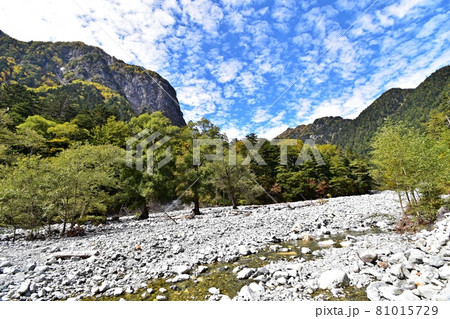横尾付近の登山道から見た横尾谷の河原と屏風岩 81015729