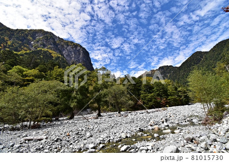 横尾付近の登山道から見た横尾谷の河原と屏風岩 81015730