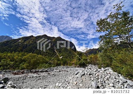 横尾付近の登山道から見た横尾谷の河原と屏風岩 横尾付近の登山道から見た横尾谷の河原と屏風岩 81015732