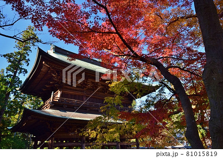 紅葉の鎌倉　円覚寺 81015819