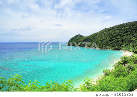 奄美大島-国直海岸 81015853