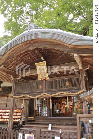 奈良県御所市 彼岸花で有名な葛城一言主神社 奈良県御所市 彼岸花で有名な葛城一言主神社 81015868