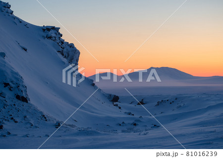 View of the snow-covered tundra and mountains. 81016239
