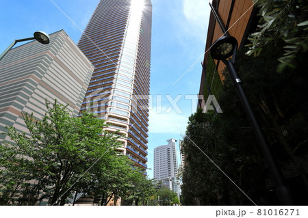 都市風景 武蔵小杉駅周辺 新緑 都市風景 武蔵小杉駅周辺 新緑 81016271