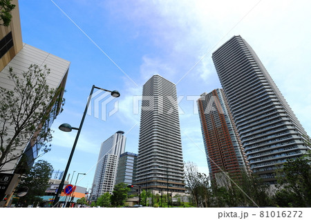 都市風景 武蔵小杉駅周辺 高層ビル群 都市風景 武蔵小杉駅周辺 高層ビル群 81016272