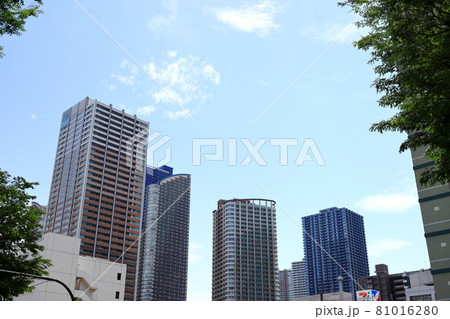 都市風景　武蔵小杉駅周辺　新緑 81016280