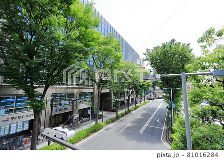 都市風景 武蔵小杉駅周辺 新緑 都市風景 武蔵小杉駅周辺 新緑 81016284