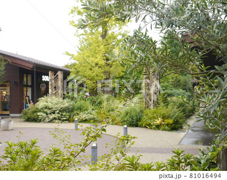 モリパーク　アウトドアビレッジ 81016494