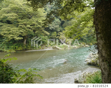 御岳渓谷（名水百選） 81016524