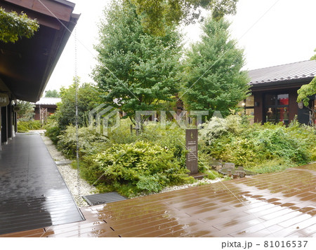 モリパーク アウトドアビレッジ モリパーク アウトドアビレッジ 81016537