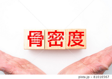 イメージ　腸内環境 81016567