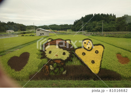 秋田の田んぼアート 秋田の田んぼアート 81016682