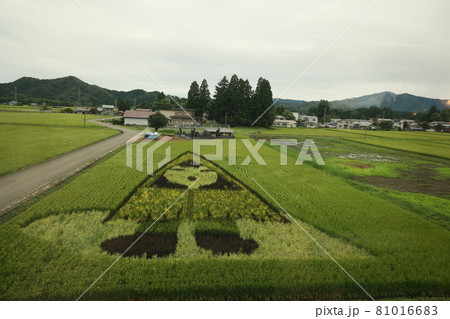 秋田の田んぼアート 秋田の田んぼアート 81016683