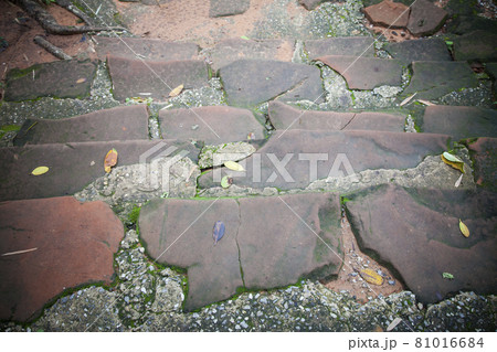 Moss and weeds on rock staircase. Moss and weeds on rock staircase. 81016684