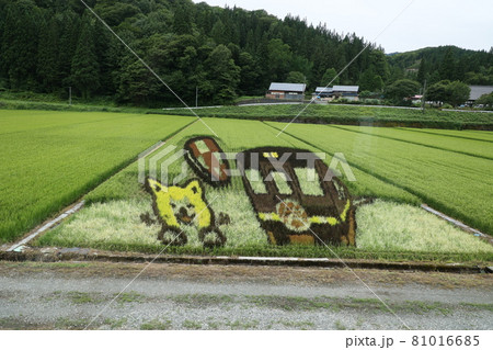 秋田の田んぼアート 秋田の田んぼアート 81016685