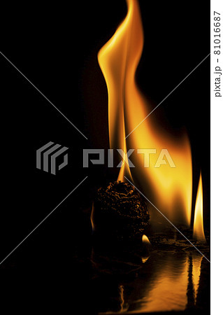 Fire flames Fire flames 81016687